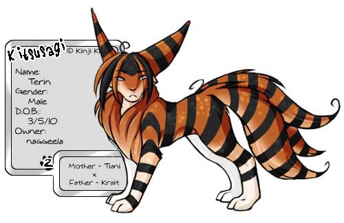 User Image